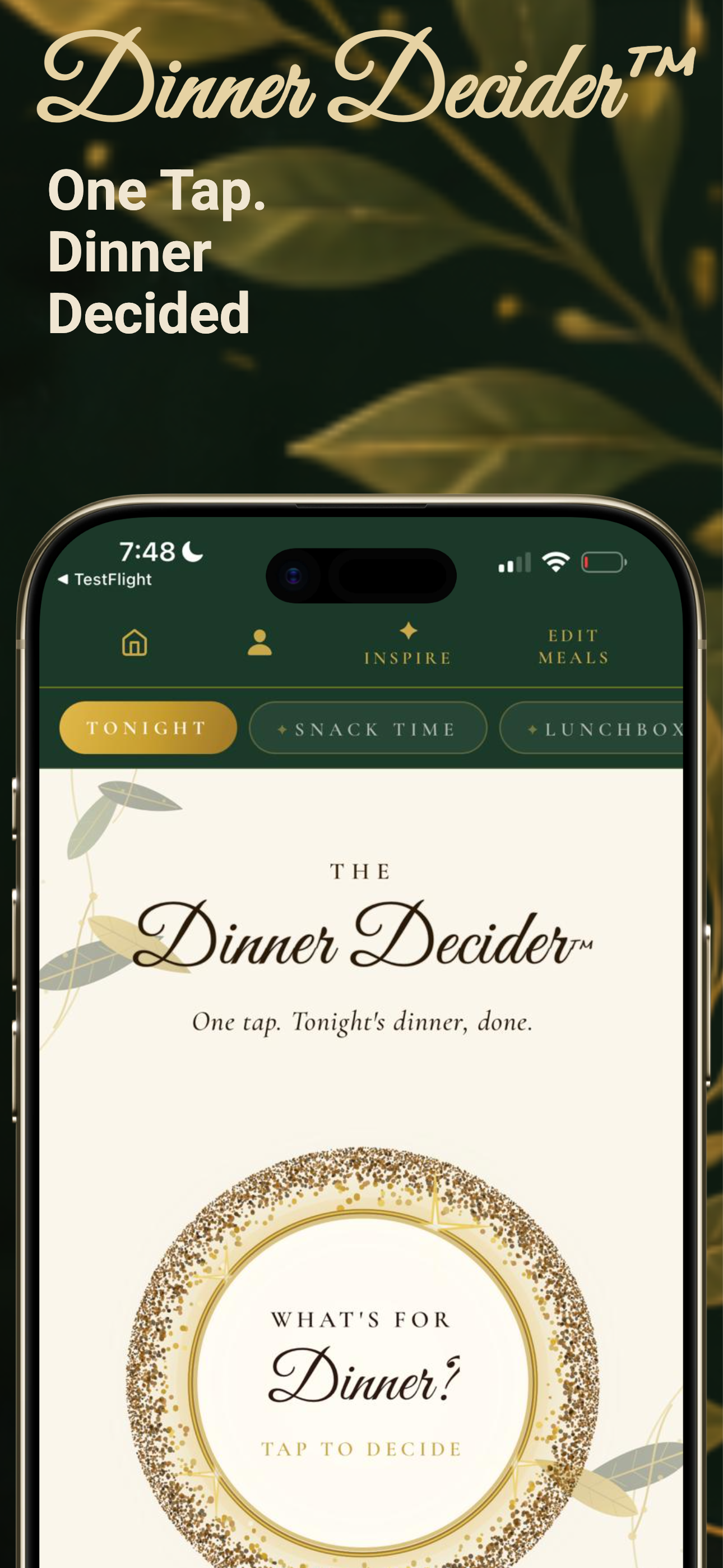 Dinner Decider app screen with the dinner decision wheel